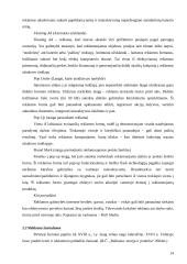 Reklamos visuomenėje 13 puslapis