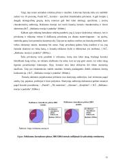 Reklamos visuomenėje 14 puslapis