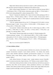 Reklamos visuomenėje 16 puslapis