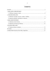 Reklama ir žiniasklaida 2 puslapis