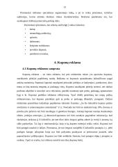 Reklama ir žiniasklaida 13 puslapis