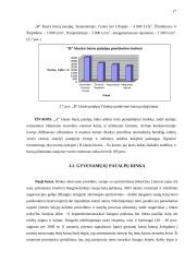 Nekilnojamo turto rinka 16 puslapis