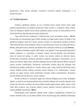 Nekilnojamo turto verčių nustatymas naudojimo pajamų vertės ir atkuriamosios vertės metodais 12 puslapis