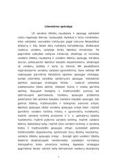 Neries tarša 4 puslapis