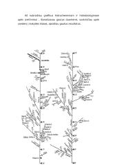 Neries tarša 6 puslapis