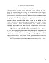 Skirtingi riešutai 10 puslapis