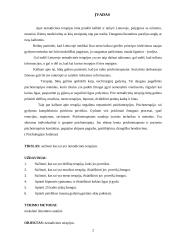 Netradicinių terapijų panaudojimo galimybės individualiame socialiniame darbe 2 puslapis