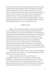 Sidabro savybės ir panaudojimas 4 puslapis