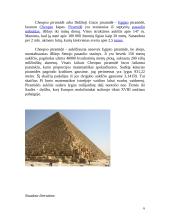 Skaičius "pi" 6 puslapis