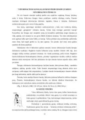 Nežodinės komunikacijos vaidmuo žmonių gyvenime 12 puslapis