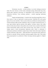 Socioedukacinis darbas su asmenimis, priklausomais nuo narkotinių ir psichotropinių medžiagų 3 puslapis