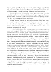 Socioedukacinis darbas su asmenimis, priklausomais nuo narkotinių ir psichotropinių medžiagų 6 puslapis