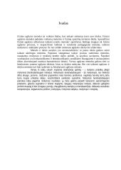 Srautinio grupinio ir srautinio ratinio metodų esmė, organizavimo ir metodikos ypatumai 2 puslapis