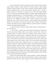 Tarptautiniai apskaitos standartai 8 puslapis