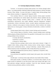 Nuomonės tyrimas: kirpyklų teikiamų paslaugų įvertinimas Mažeikių mieste 6 puslapis