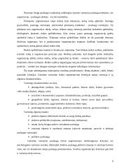 Nuomonės tyrimas: kirpyklų teikiamų paslaugų įvertinimas Mažeikių mieste 9 puslapis