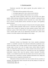 Nuosavybės teisės įgijimo pagrindai ir jų ypatumai 7 puslapis