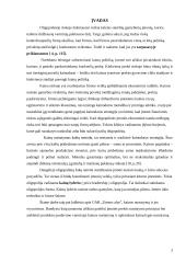 Oligopolinė rinka bei kainos nustatymas UAB "Švyturio alus" 2 puslapis