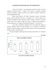 Oligopolinė rinka bei kainos nustatymas UAB "Švyturio alus" 18 puslapis