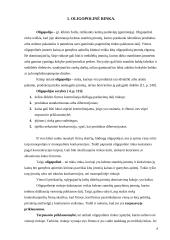 Oligopolinė rinka bei kainos nustatymas UAB "Švyturio alus" 3 puslapis