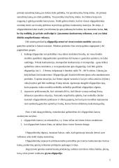 Oligopolinė rinka bei kainos nustatymas UAB "Švyturio alus" 4 puslapis