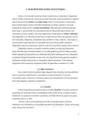 Oligopolinė rinka bei kainos nustatymas UAB "Švyturio alus" 6 puslapis