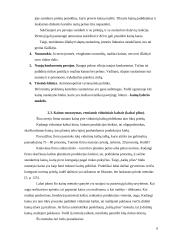 Oligopolinė rinka bei kainos nustatymas UAB "Švyturio alus" 8 puslapis