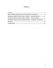 Trys teisės ontologiniai lygmenys 2 puslapis