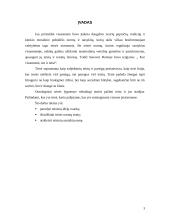 Trys teisės ontologiniai lygmenys 3 puslapis