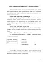 Trys teisės ontologiniai lygmenys 4 puslapis