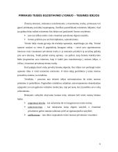 Trys teisės ontologiniai lygmenys 6 puslapis