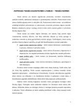 Trys teisės ontologiniai lygmenys 7 puslapis