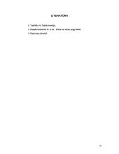 Trys teisės ontologiniai lygmenys 10 puslapis