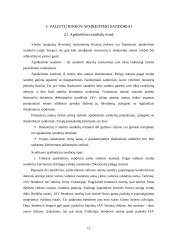 Opciono ir svopo sandoriai valiutinėje rinkoje 12 puslapis