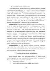 Opciono ir svopo sandoriai valiutinėje rinkoje 16 puslapis