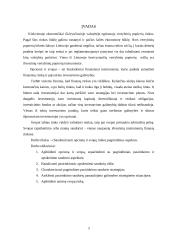 Opciono ir svopo sandoriai valiutinėje rinkoje 3 puslapis