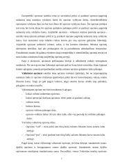 Opciono ir svopo sandoriai valiutinėje rinkoje 7 puslapis