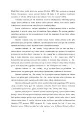 Opciono ir svopo sandoriai valiutinėje rinkoje 8 puslapis