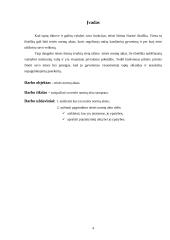 Teisės normų akto samprata 4 puslapis