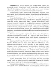 Teisės normų akto samprata 9 puslapis