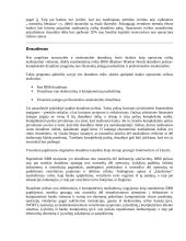 Operacinės rizikos esmė, mažinimas ir kontrolės metodai 13 puslapis