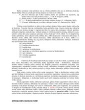 Operacinės rizikos esmė, mažinimas ir kontrolės metodai 3 puslapis