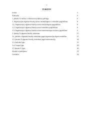 Organizacijos elgsenos bruožų analizė 2 puslapis