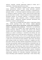 Organizacijos elgsenos bruožų analizė 11 puslapis