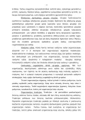 Organizacijos elgsenos bruožų analizė 13 puslapis