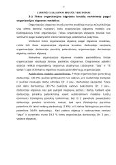 Organizacijos elgsenos bruožų analizė 17 puslapis