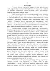 Organizacijos elgsenos bruožų analizė 4 puslapis