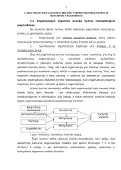 Organizacijos elgsenos bruožų analizė 8 puslapis