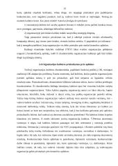 Organizacijos kultūra: AB "Achema" kultūra ir pokyčiai 12 puslapis