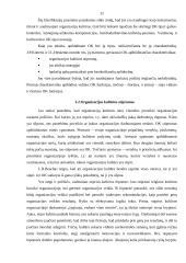 Organizacijos kultūra: AB "Achema" kultūra ir pokyčiai 10 puslapis